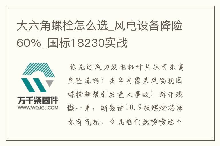 大六角螺栓怎么選_風(fēng)電設(shè)備降險(xiǎn)60%_國標(biāo)18230實(shí)戰(zhàn)