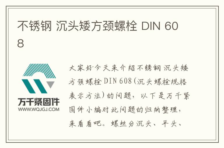 不銹鋼 沉頭矮方頸螺栓 DIN 608