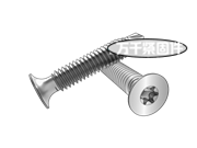 CSD牙梅花槽喇叭頭自鉆自攻螺釘 AS 3566.1